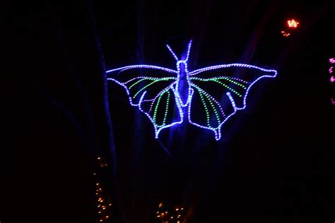 Columbus Zoo Wildlights - Ohio Girl Travels