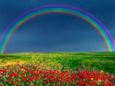 Rainbow Wallpaper - WallpaperSafari