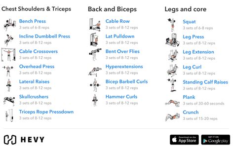 3 Day Split Workout - Complete Guide (2024) - Hevy #1 Workout Tracker