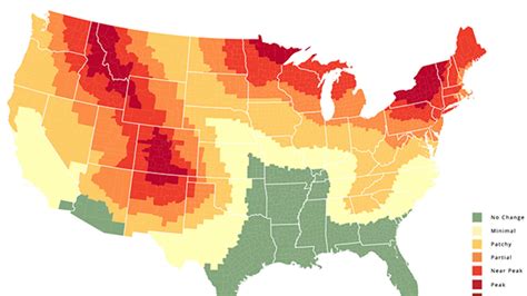 When Is the Best Time to See Fall Foliage? | Mental Floss