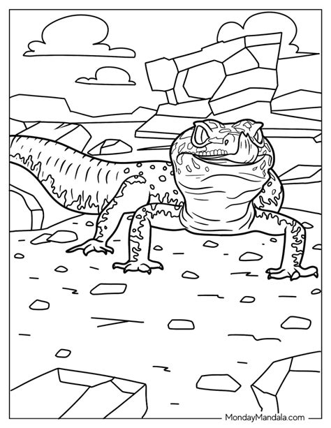 24 Lizard Coloring Pages (Free PDF Printables)