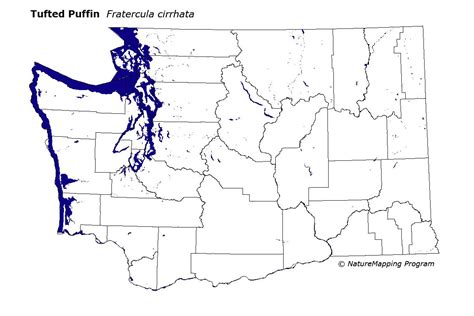 Distribution Map - Tufted Puffin (Fratercula cirrhata)