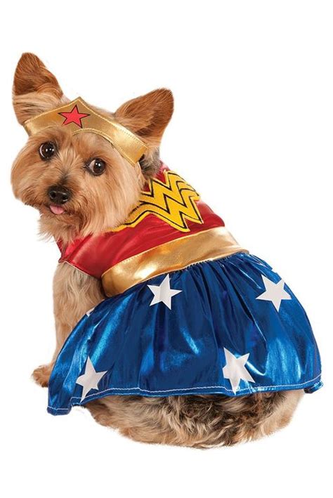 52 Dog Halloween Costumes - Cute Ideas for Pet Costumes