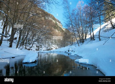 Ordesa y Monte Perdido National Park, mountain stream in winter Stock ...