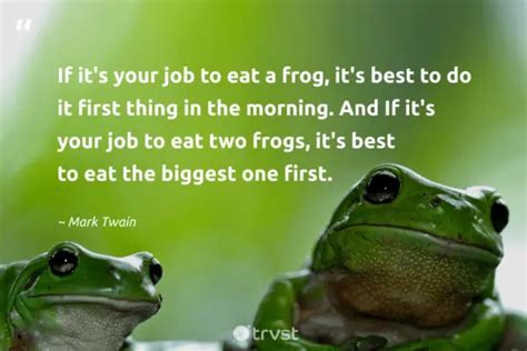 27 Frog Quotes about the Diverse Amphibians