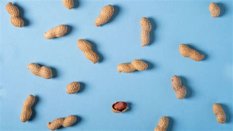 Overcoming peanut allergy requires maintenance for most | Science News