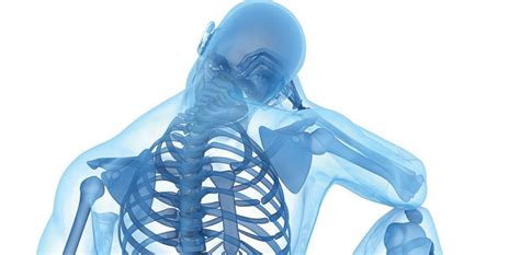 The Importance of Minerals for Bone Health - One Stop Supplements