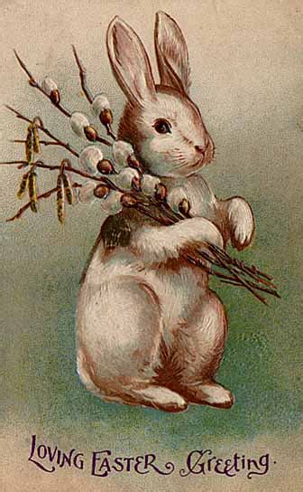 File:Easter Bunny Postcard 1907.jpg - Wikimedia Commons