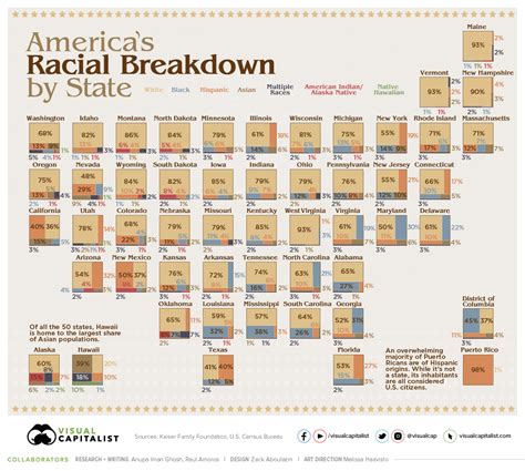 Visualizing The US Population By Race