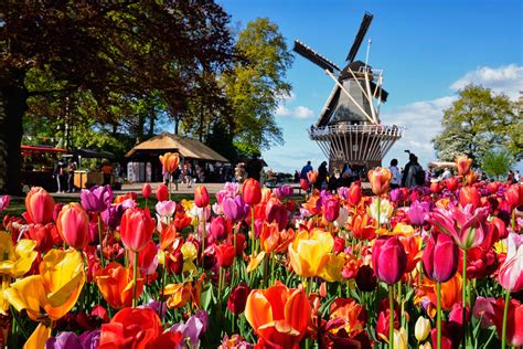 Keukenhof - Garden of Europe - Public Transport Holland Shop