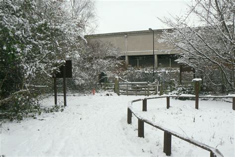 Gunnersbury Triangle - London Wildlife Trust | inHounslow