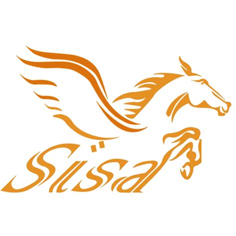 Sisa (@SisaEducation) | Twitter