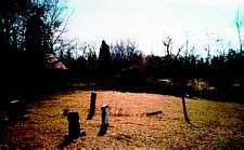 Henrietta Lacks rests today in an unmarkedgrave in the cemetery across the street from her ...