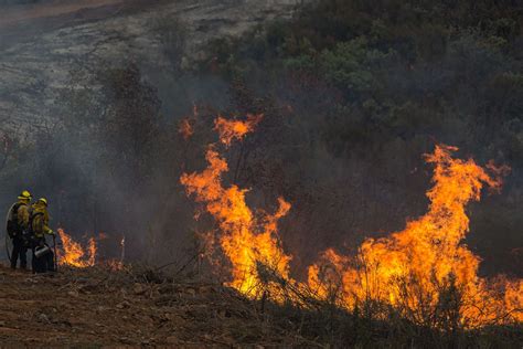 California's Political Leaders Made Wildfire Season Worse