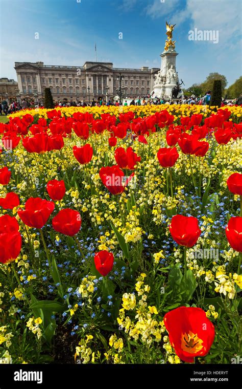 Buckingham palace garden flowers hi-res stock photography and images ...