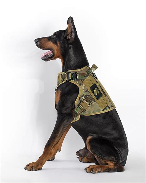 LAOPAW™ TACTICAL DOG COLLAR