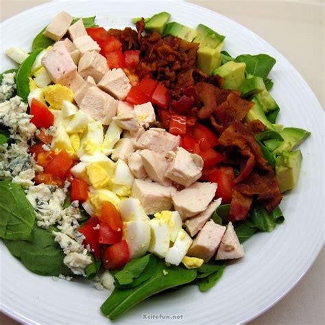 Top Favorite And Most Eatable Salad Types - XciteFun.net