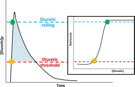 Loop diuretic pharmacokinetics and dose-response curve. The loop ...