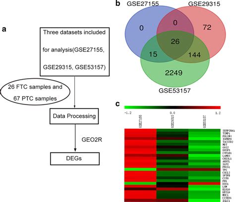 Integrated analysis of GEO datasets identified DEGs in FTC and PTC. (a)... | Download Scientific ...