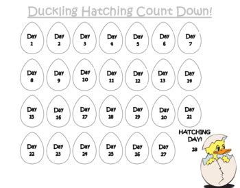 Duck Hatching Count Down by Veronica Raposo | TPT