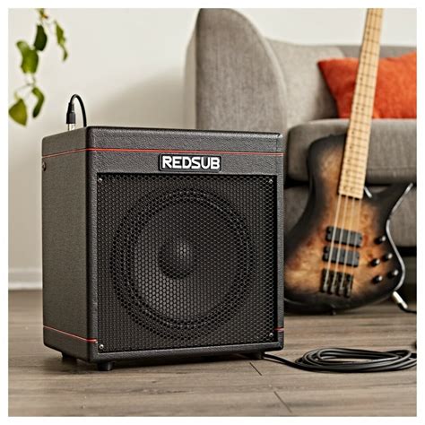 Which Bass Amp is Right for You?