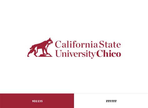 California State University, Chico (CSU Chico) Brand Color Codes ...