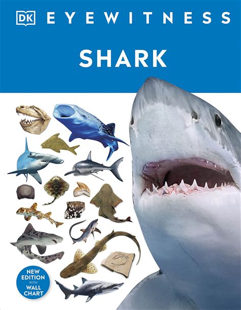 Shark by D.K. Publishing | Goodreads