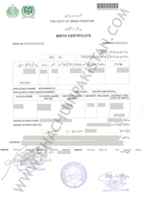 Sample of NADRA Birth Certificate Pakistan - Get Online