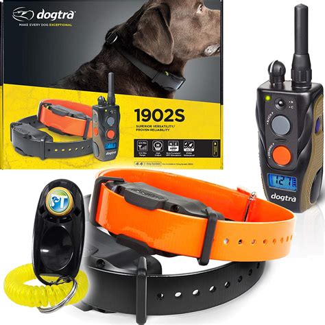 11 Best Dog Training Collars - Reviews and Buyer’s Guide