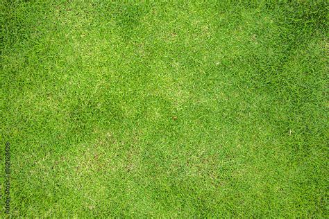 Grass Field Top View Texture 스톡 사진 | Adobe Stock