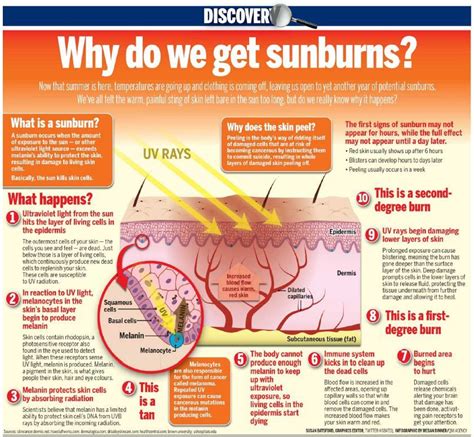 Pin on Prevent Skin Cancer