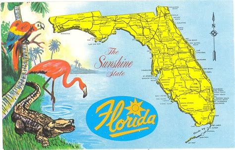 Alligators In Florida Map - Printable Maps