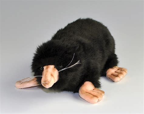 Mole, Plush | Flinn Scientific