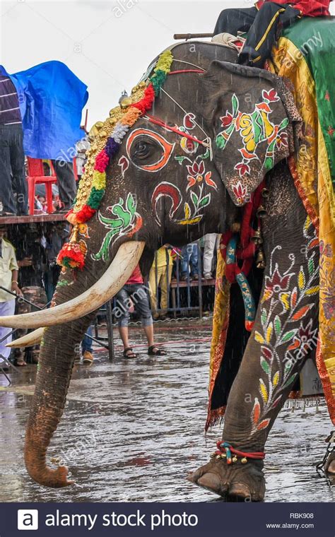 Download this stock image: Decorated elephants at Mysore Dussehra celebration or Dasara festival ...