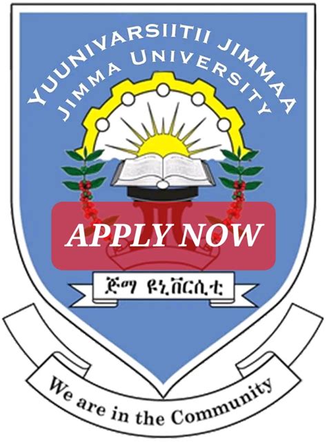 Jimma University New Vacancy Announcement For Zero Year Experience - Sewasew