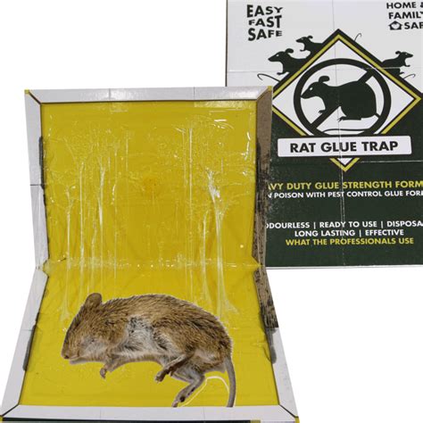 Professional Rat Glue Trap @ www.mqsupplies.com