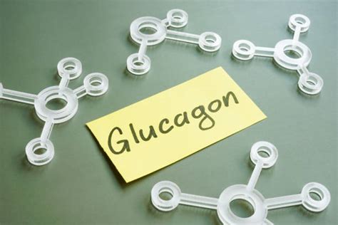 Glucagon Structure Stock Photos, Pictures & Royalty-Free Images - iStock