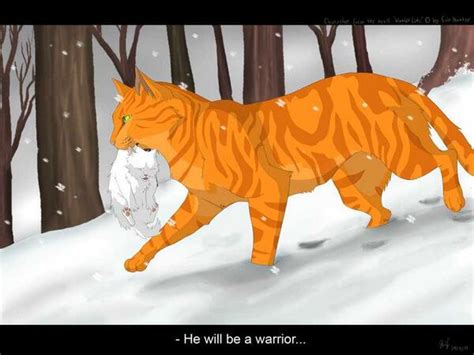 [38+] Warriors Cats Firestar