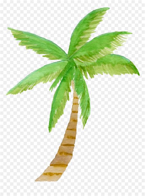 Watercolor Palm Tree Clipart - Palm Tree Clip Art Watercolor, HD Png ...