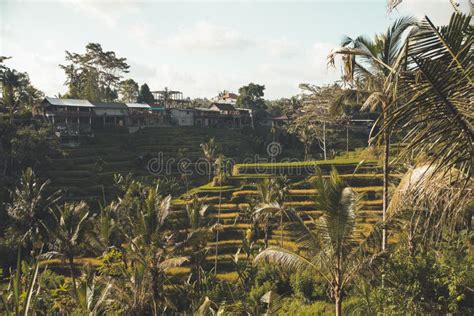 Landscape of Bali Island in Indonesia Stock Photo - Image of beautiful ...