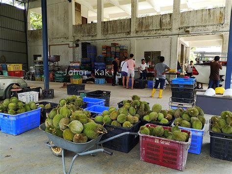 Nearest Durian Farm from Singapore. Zhong Cheng Durian Farm in Kulai Johor 忠诚榴莲园 |Tony Johor ...