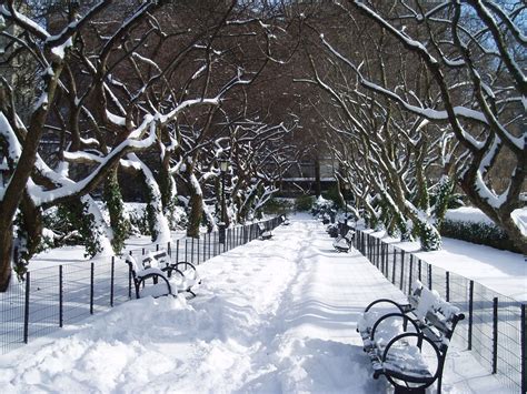 Central Park in Snow New York, USA