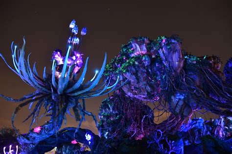 Night Photos Inside Pandora – The World of Avatar at Disney’s Animal Kingdom – Mousesteps