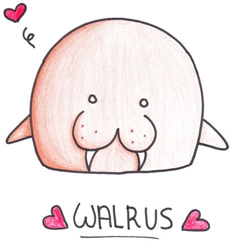 Cute Walrus Drawing at GetDrawings | Free download