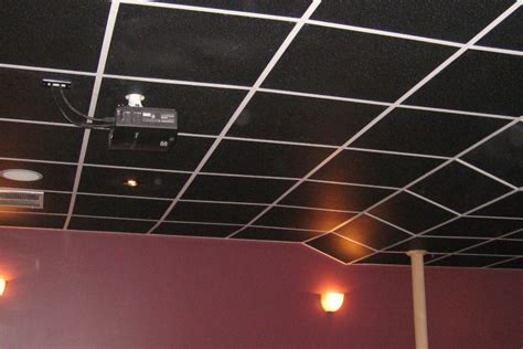 Black Ceiling Tiles - InterSource Specialties Co.