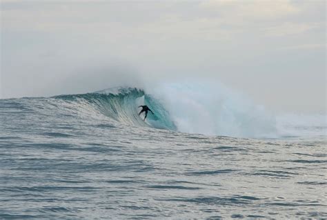 Surfing in Papua New Guinea - No Limit Adventures