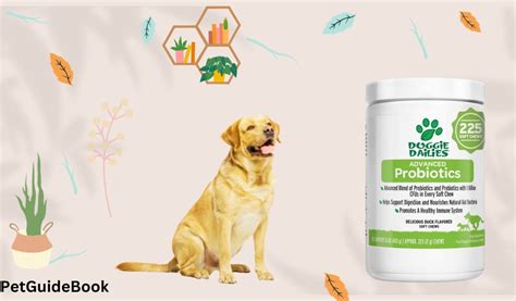 9 best dog probiotics revealed