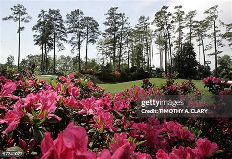 Augusta National Golf Club Photos and Premium High Res Pictures - Getty Images