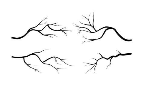 How To Draw Branches - Economicsprogress5