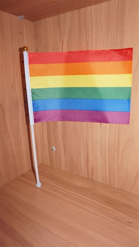 Rainbow Pride Flag Small Handheld 20x15cm - Etsy Australia